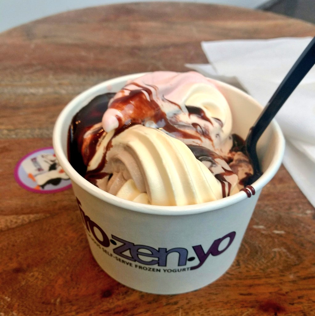 One of the most important Washington experiences of all: FroZenYo.