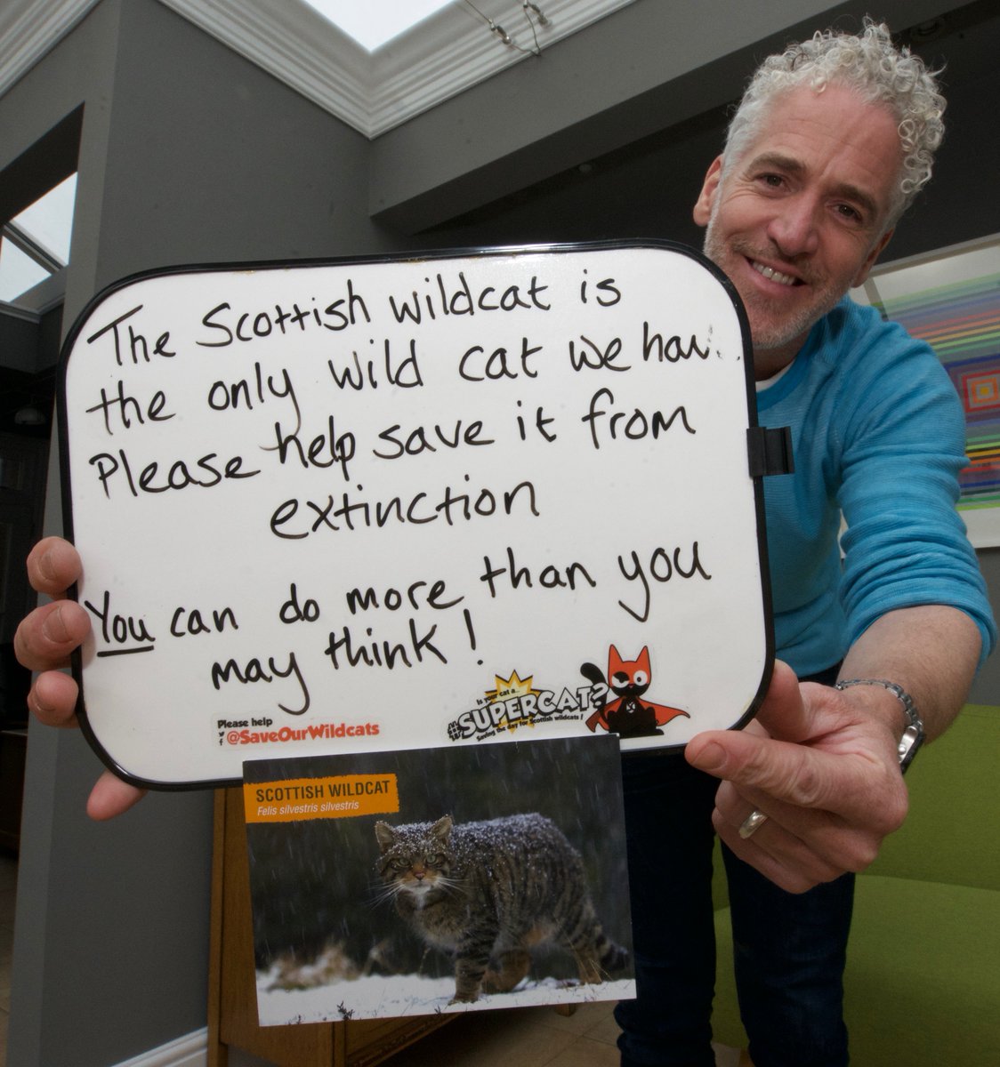 Is your cat a #supercat? Please help <a href="/SaveOurWildcats/">Saving Wildcats (#SWAforLIFE)</a> and get your cat vaccinated, neutered &amp; micro-chipped.