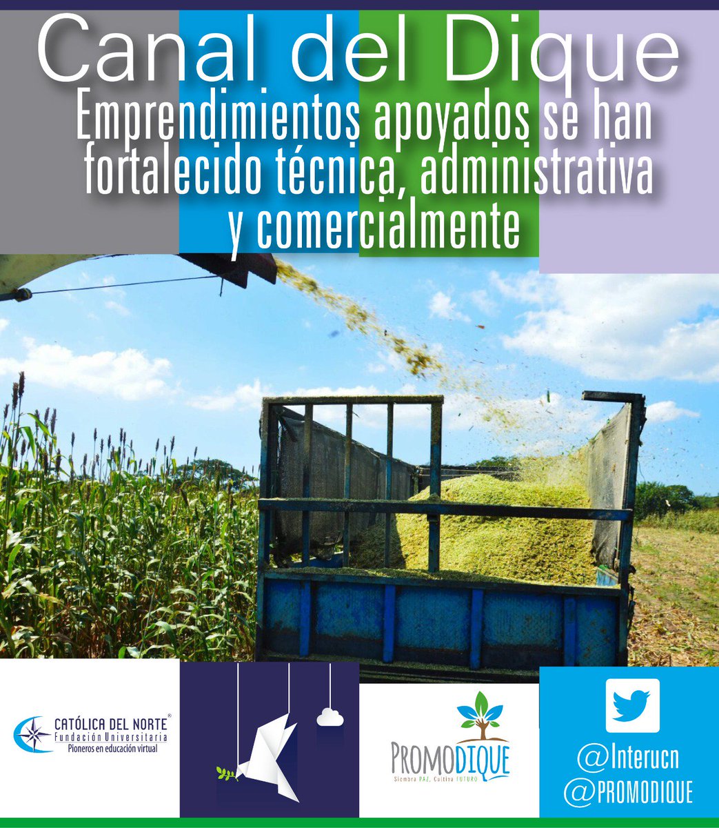 Interucn's tweet photo. @PROMODIQUE @MovimientoxlPaz Emprendimientos apoyados se han fortalecido técnica, administrativa y comercialmente https://t.co/NQDECKMYmF https://t.co/MVkpZDgW7f