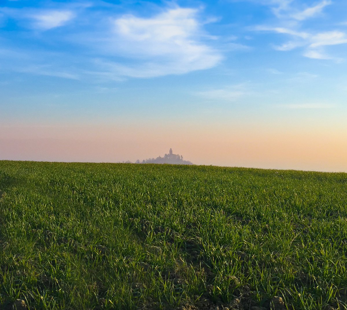 Armando Cosentino tweet media