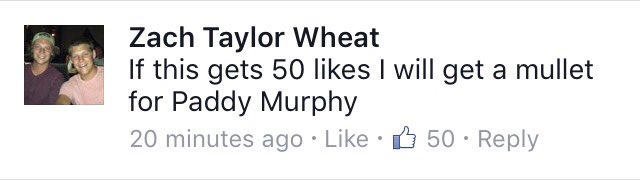 Zach Wheat tweet media