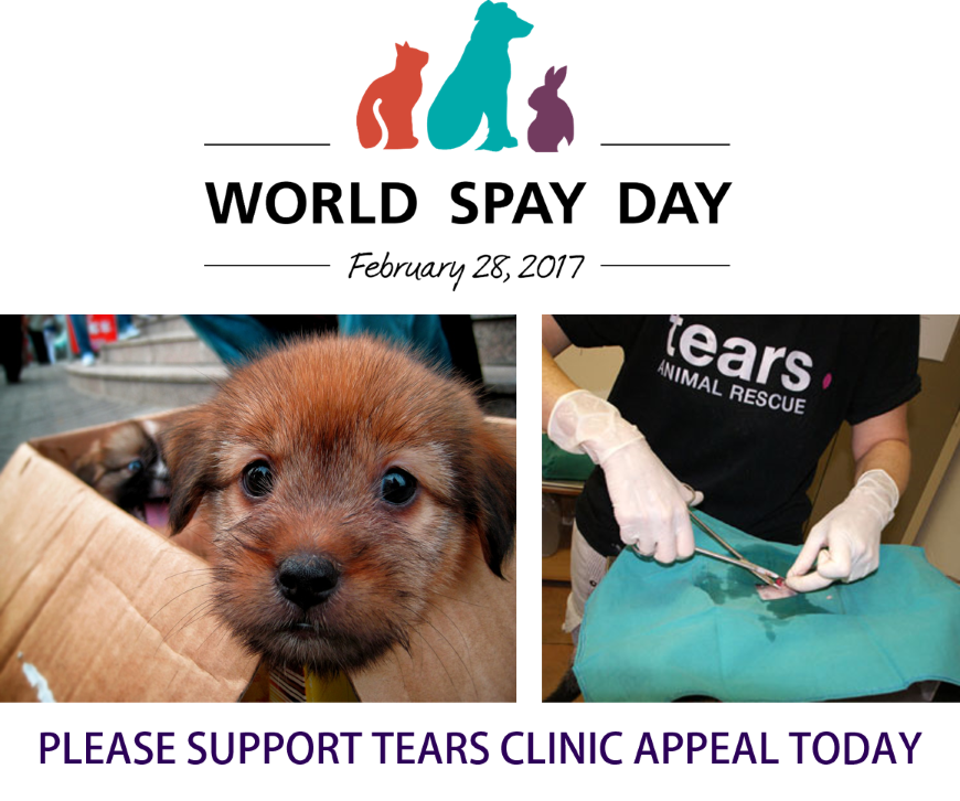 This #WorldSpayDay pledge to support sterilisation by donating to our Clinic Appeal: tears.org.za/donate-now/ <a href="/liezelv/">Liezel V 🦒</a>