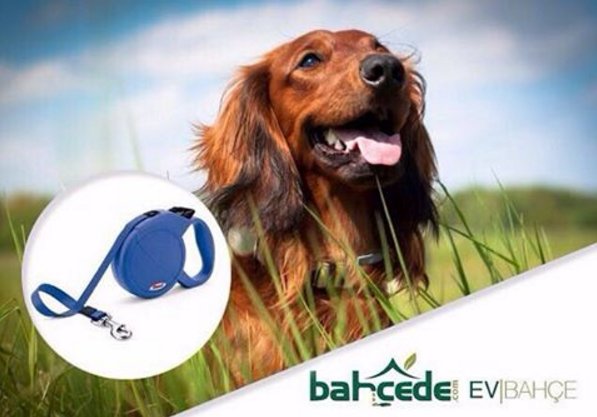 BahcedeCom's tweet photo. Dilediğiniz büyüklük, renk ve kullanım amaçlarına uygun tasma modelleri👉🏼 https://t.co/esyaeunRam mağazamızda
#bahcedecom #köpek #tasma #pet https://t.co/fBml8kKqQp