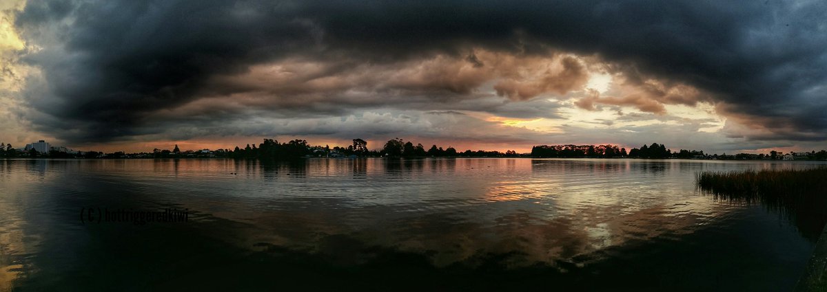 hottriggeredkiwi tweet media