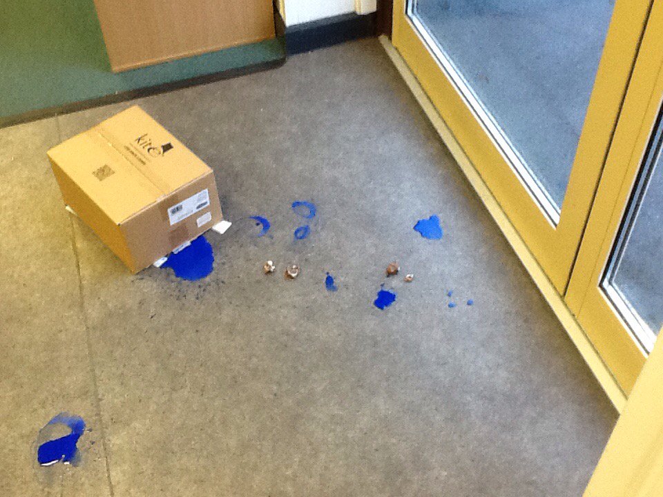 PFPSMrsW's tweet photo. We have caught something year 1. Come to school quickly to see what it is. @PFPSMrsWhit  @PFPSHead https://t.co/aEyHwFV4m1