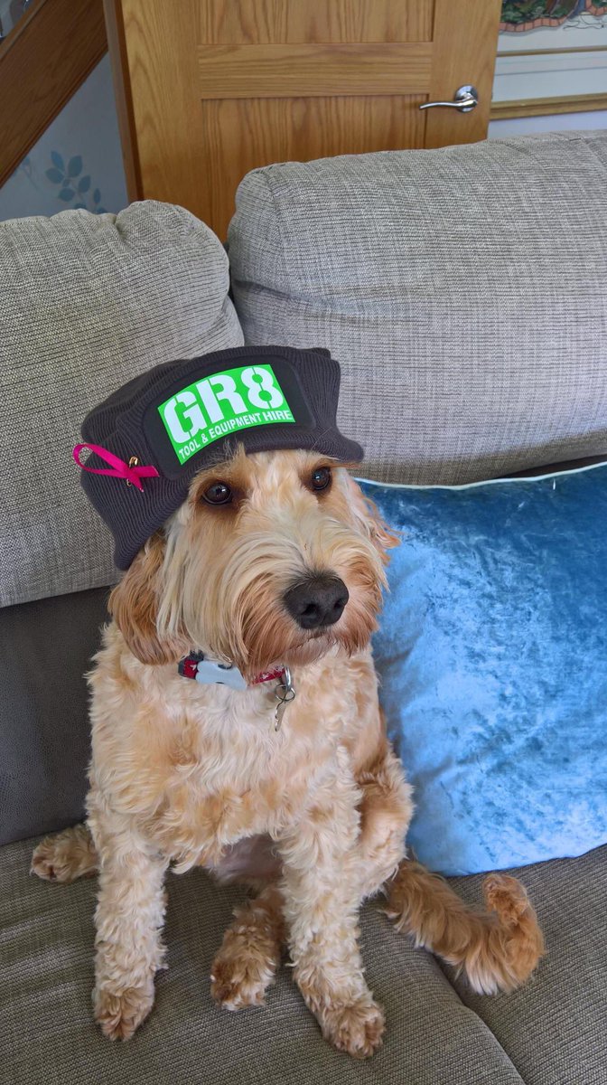 This little doggy is looking sad because his Dad is going away &amp; taking his GR8 hat! Thanks for a lovely #GR8HatChallenge before he leaves!