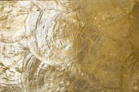 YWallpaper2's tweet photo. Sea shell wallpaper. https://t.co/lNQxTRHTyf