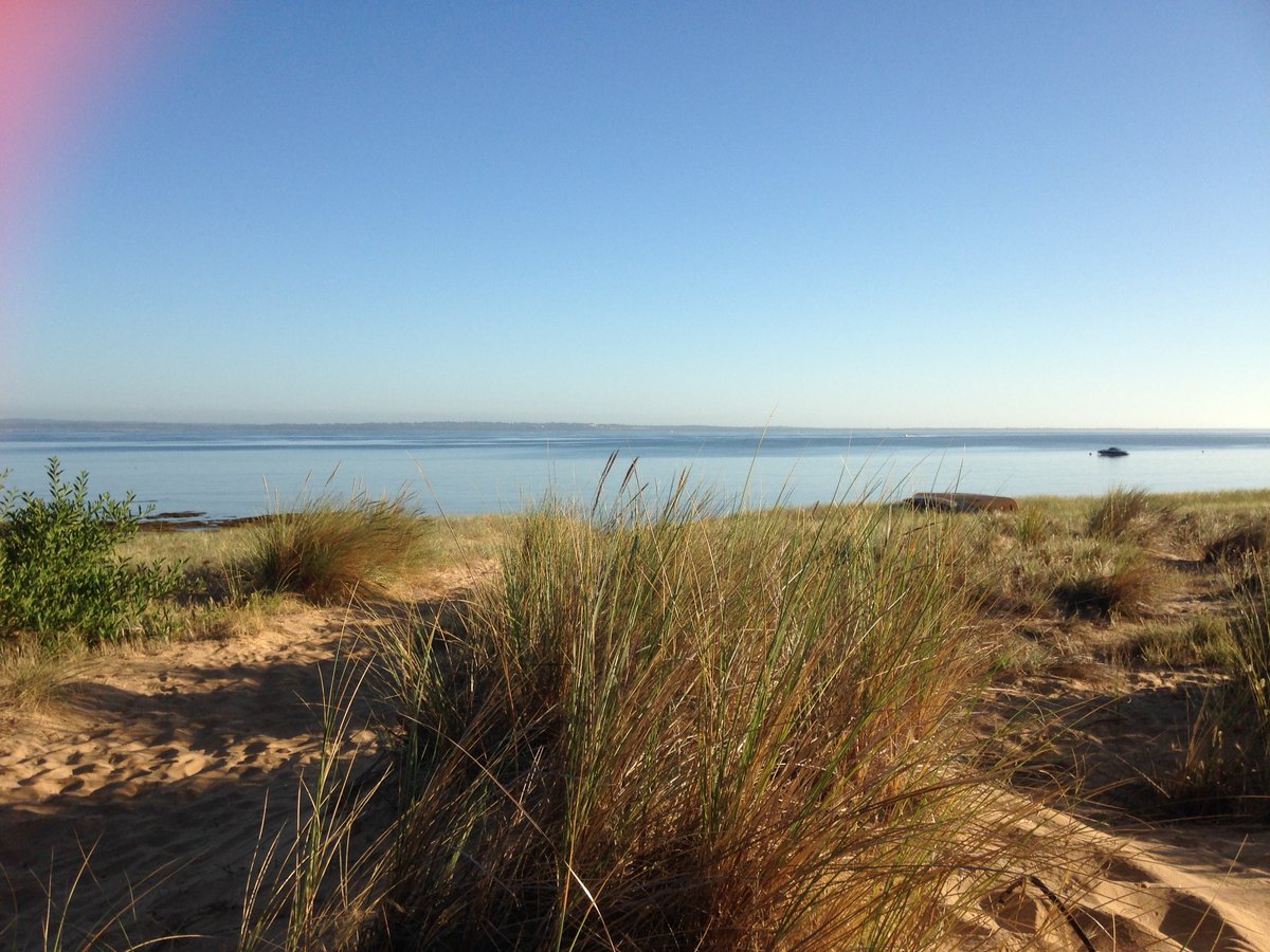 PIWalkabout's tweet image. The last day of Summer, very sad😔