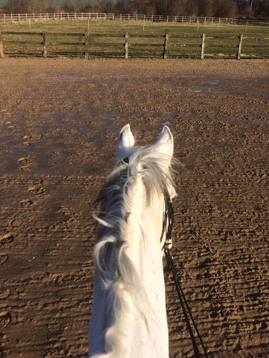 There was a time when both me and <a href="/KBISInsurance/">KBIS Insurance</a> Starchaser would have eyed up those rails!Not now-loving dressage! #eventersturntodressage😁