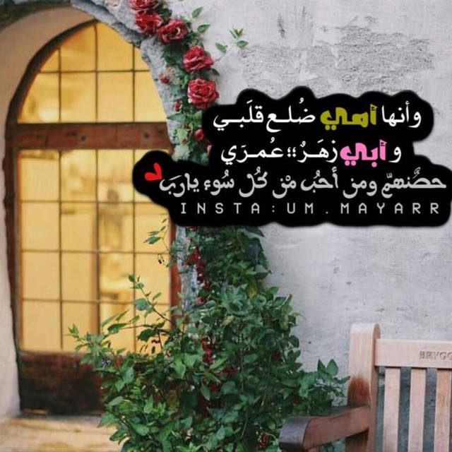 Bint Sultan (@redbint955) on Twitter photo 