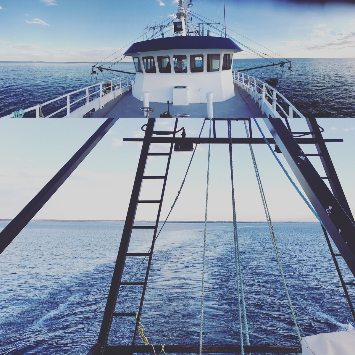 Beautiful night in Spencer Gulf. Heading out from Wallaroo for the final night of our Stock Assessment Survey, home to Pt Lincoln tomorrow!