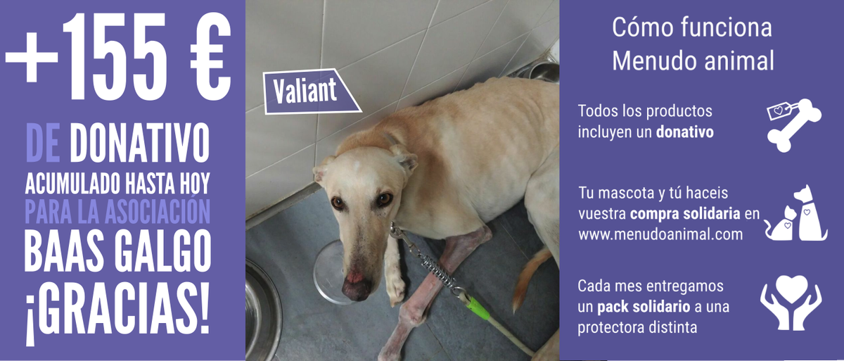 MenudoAnimal's tweet photo. 📣📅Último día para hacer tu compra solidaria y hacer crecer el #donativo para @Villagalgo 🐶🐱Tienda 100% solidaria ➡ https://t.co/QLrRXP1XwY🖱🛒 https://t.co/pTX0msCfr6