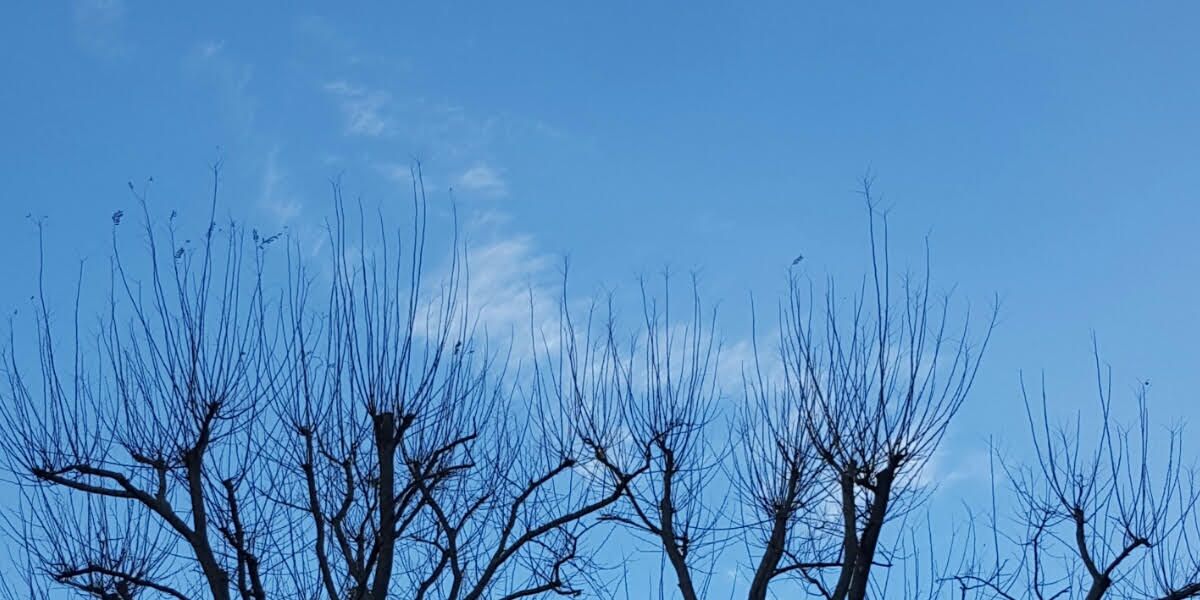 LindseyLangHome's tweet photo. Blue sky day, hooray! It's a #TuesdayTreat. Crisp and clear - lovely. #bluesky #ColourInspired https://t.co/xZTvNmaFKw