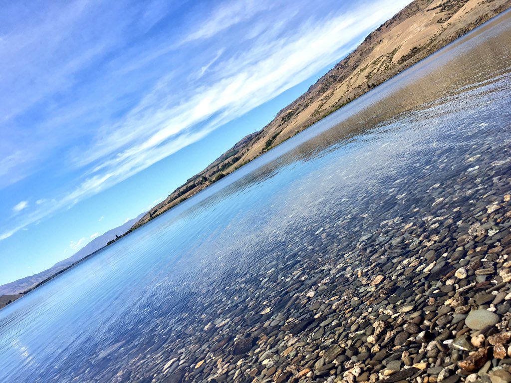 Carlastheorie's tweet photo. Summer. Sun. Fabulous Wines. Delicious Food. #CentralOtago #Cromwell #BlancDeNoir #Blondie... #gottalovethis! Thanks @Wooingtree! https://t.co/966Wyalgx8