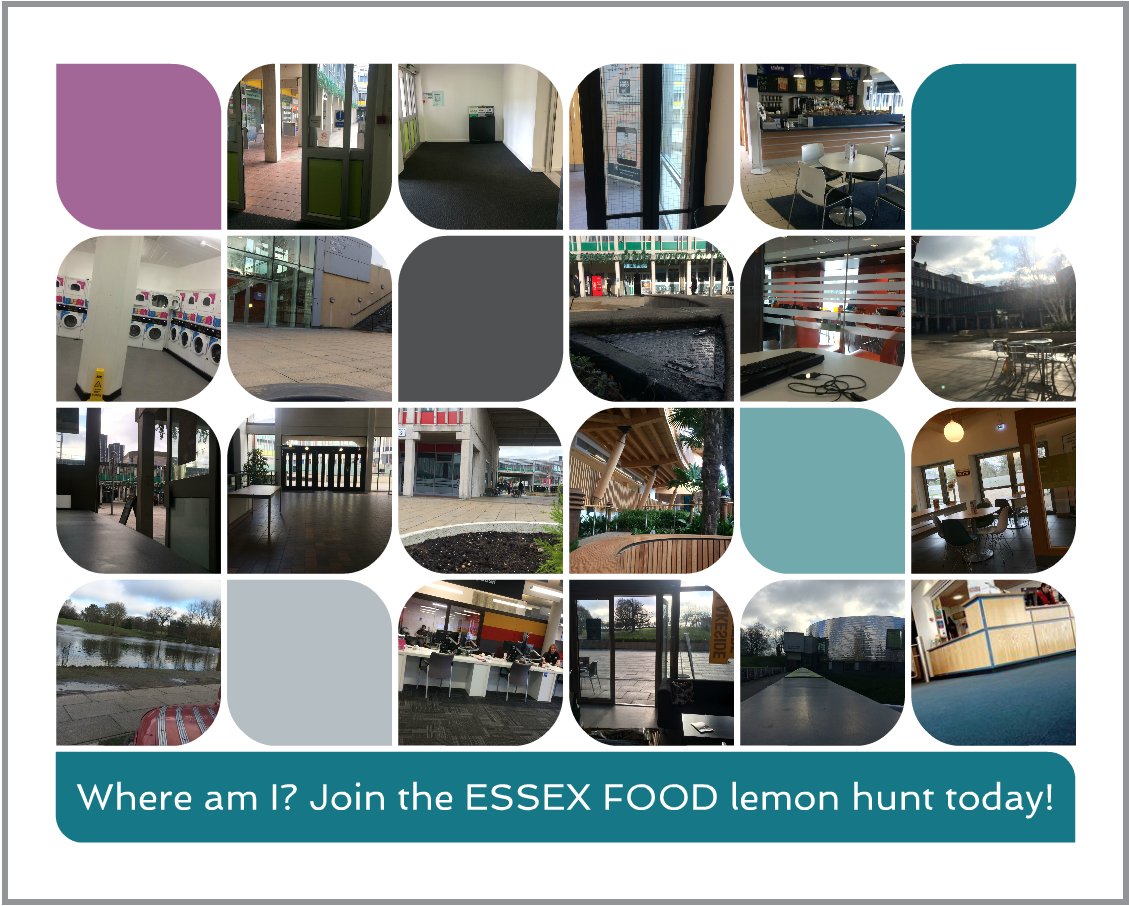 EssexFood's tweet photo. Where am I? Find me to get yourself a FREE pancake in Canteen when you get your Essex Food Rewards app scanned! #lemonhunt https://t.co/onOATn6nQU