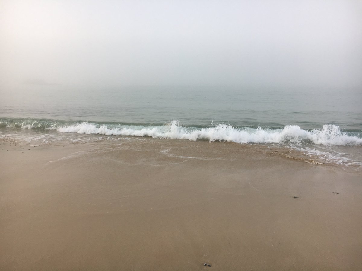 oceansproject's tweet photo. A foggy island coast. #Alderney #Channelislands https://t.co/88Hxp6z3Pu