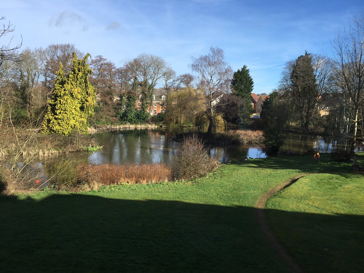 RealestCommProp's tweet photo. Beautiful morning &amp; relishing our new office views...☀️
#PropertyHants #sunshineaftertherain #lotsofducks https://t.co/dXn1FcvGW7