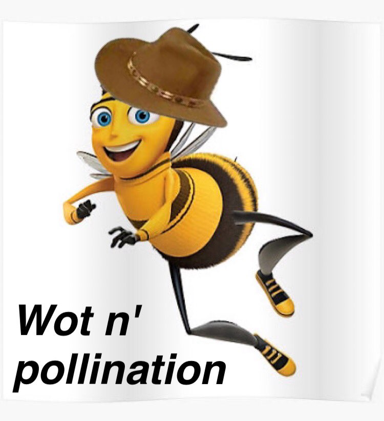 Flynn Botella tweet media