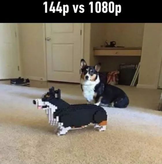 SpeedyAUT's tweet photo. When we got our new PC 😂😂😂
@PeanutVertu https://t.co/oX7rMPfMpj