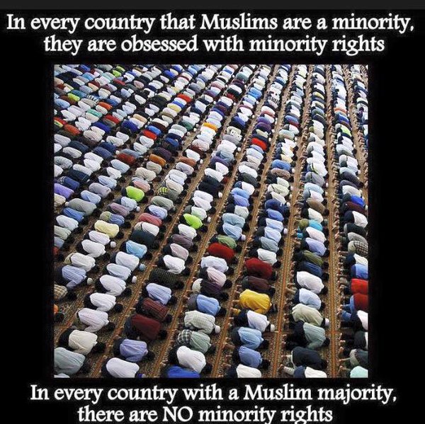 NJ_Joe_14's tweet photo. Reminder on Islam of the day 02-28-17

@AgendaOfEvil @daeshhun @hyfrLesley1 @Tj1701a https://t.co/RyiTVvJcsv