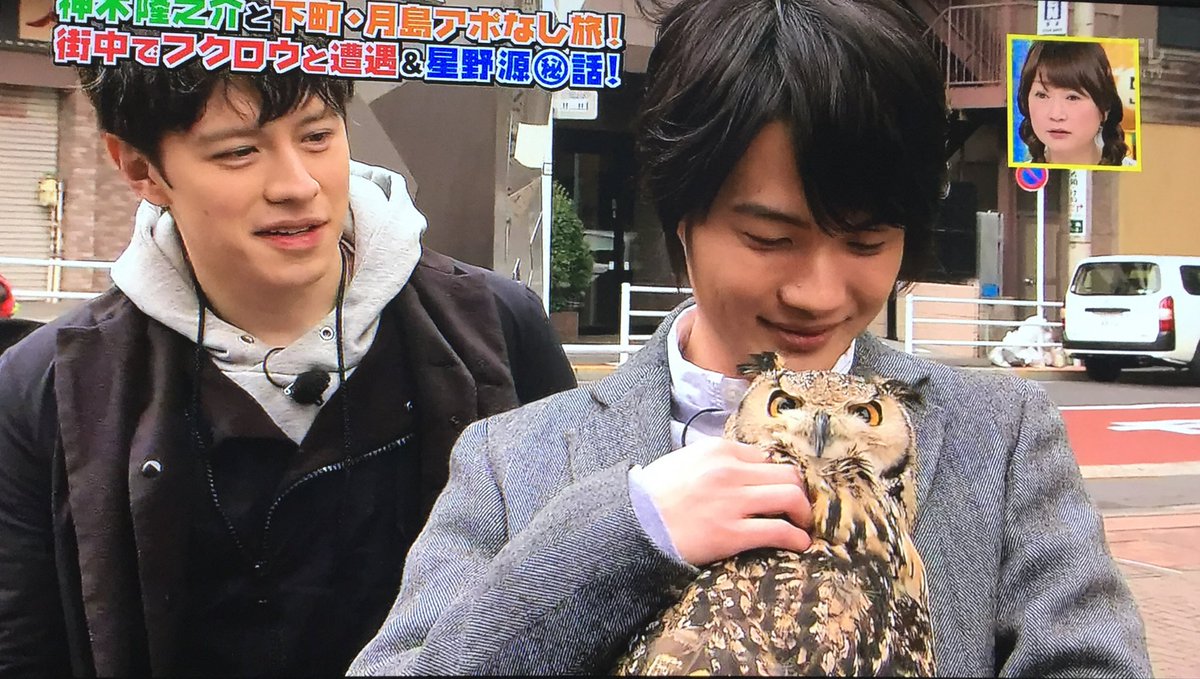 M フクロウ 見たか 神木クラスタ 俺は今 神木隆之介の腕の中だ 羨ましいだろ 俺が羨ましいだろ さあ 思う存分嫉妬したまえ さぁ 神木隆之介 火曜サプライズ