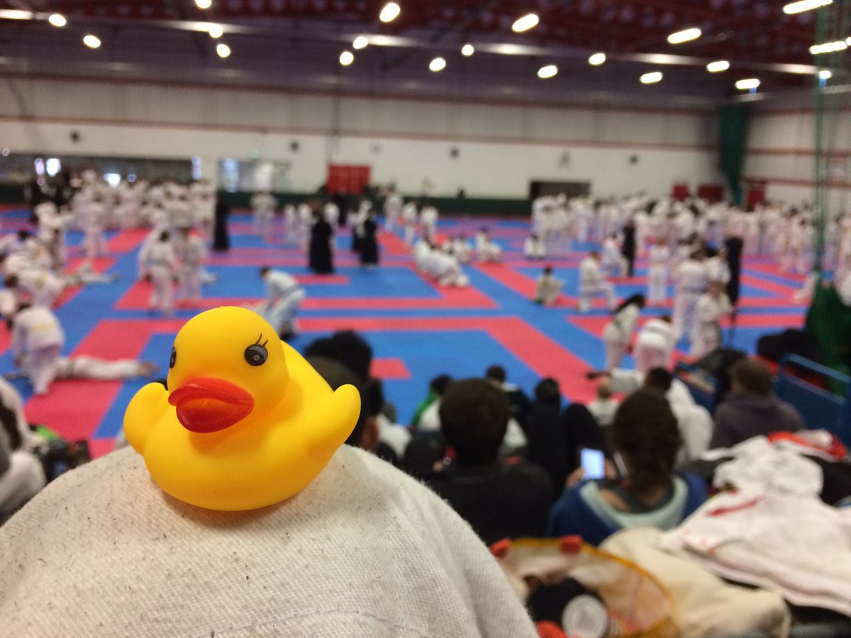 WheresGaryDuck's tweet photo. Gary had a wonderful time watching the national competition for Jiu Jitsu #Randoris2017 #FoundGaryDuck https://t.co/2oWSFN5Kra