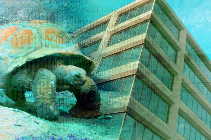 InsiderProTech's tweet image. Despite claims of embracing digital capabilities, at most organizations it&apos;s a slow-moving process @CIOonline cio.com/article/317476…