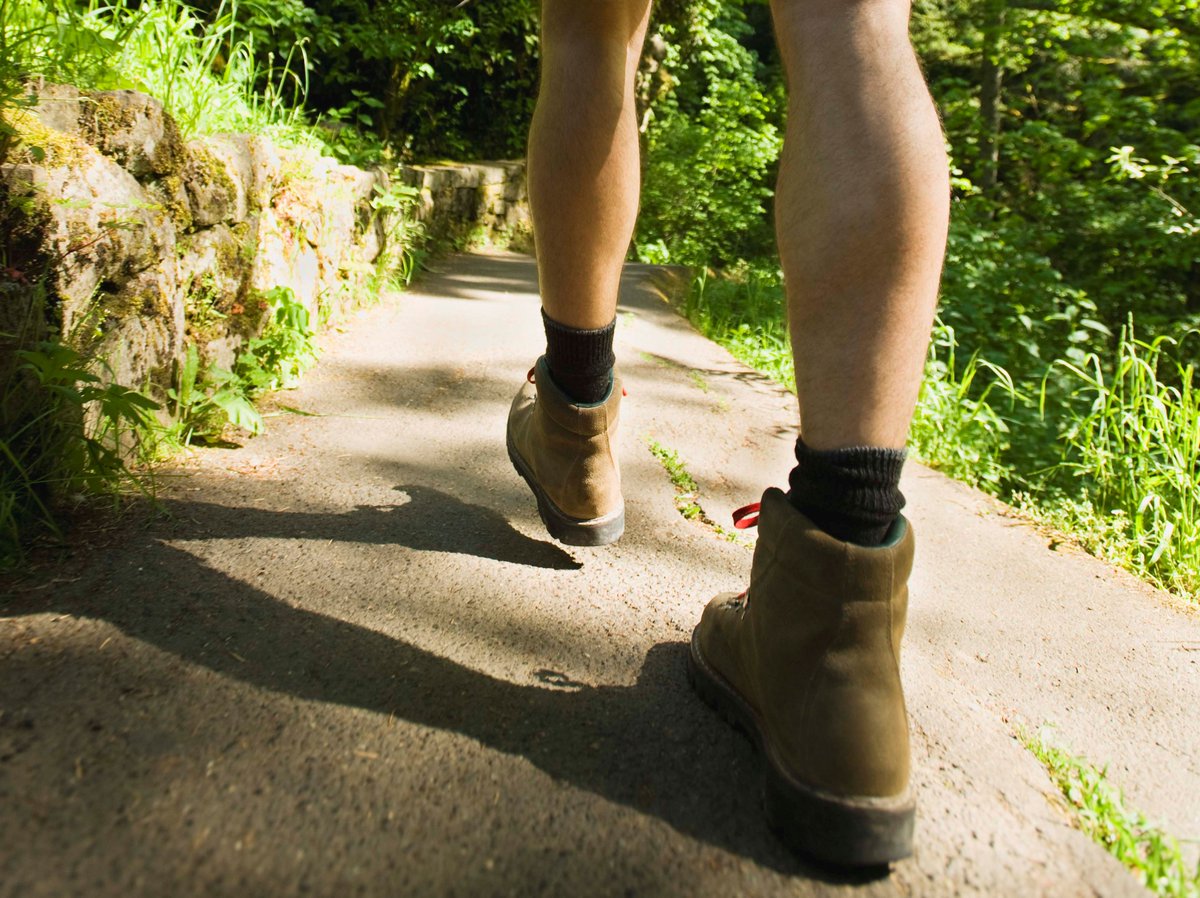 Leuk nieuws! Apeldoorn is genomineerd voor de titel Wandelgemeente 2017! Samen met  Alkmaar en Leusden. Meer info wandelkrant.nl