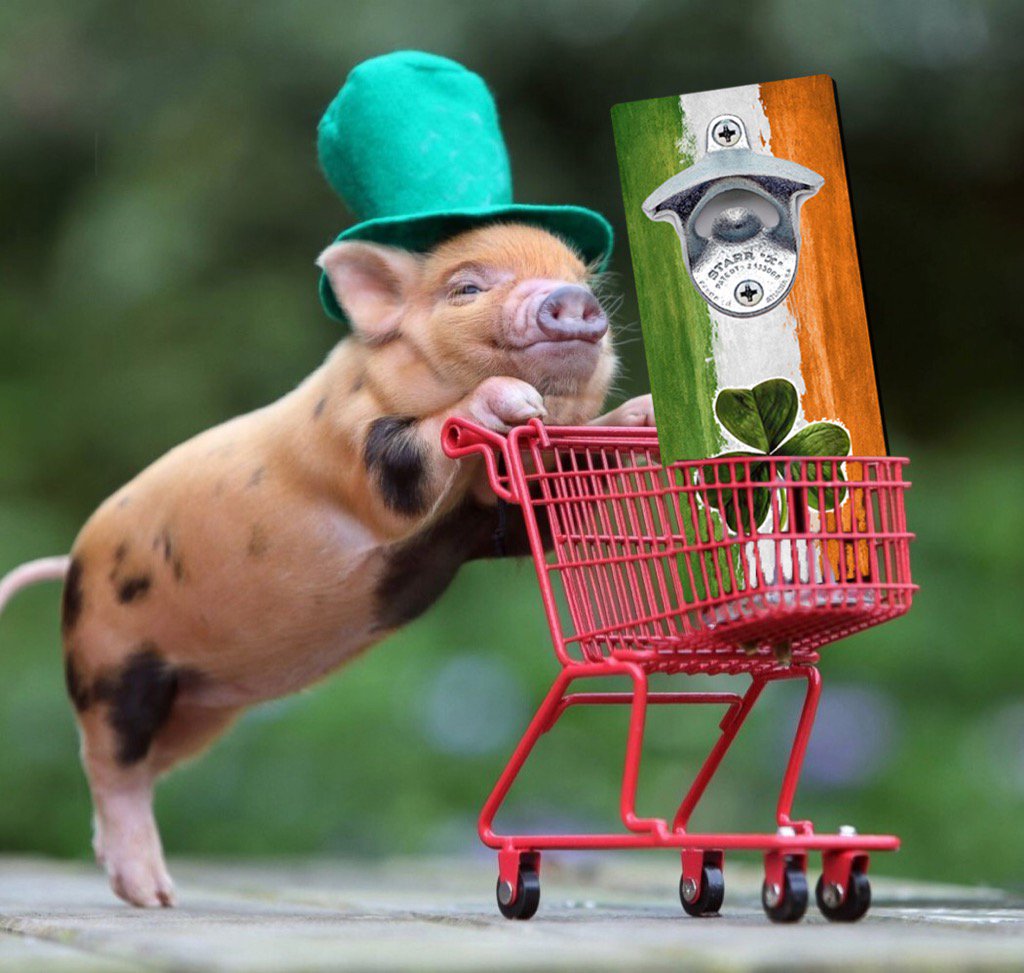 CapStop's tweet image. Lil' homie ready for St Paddys Day! Our SALE is still on #StPatricksDay #irish #beer #CraftBeer #cle #thisiscle