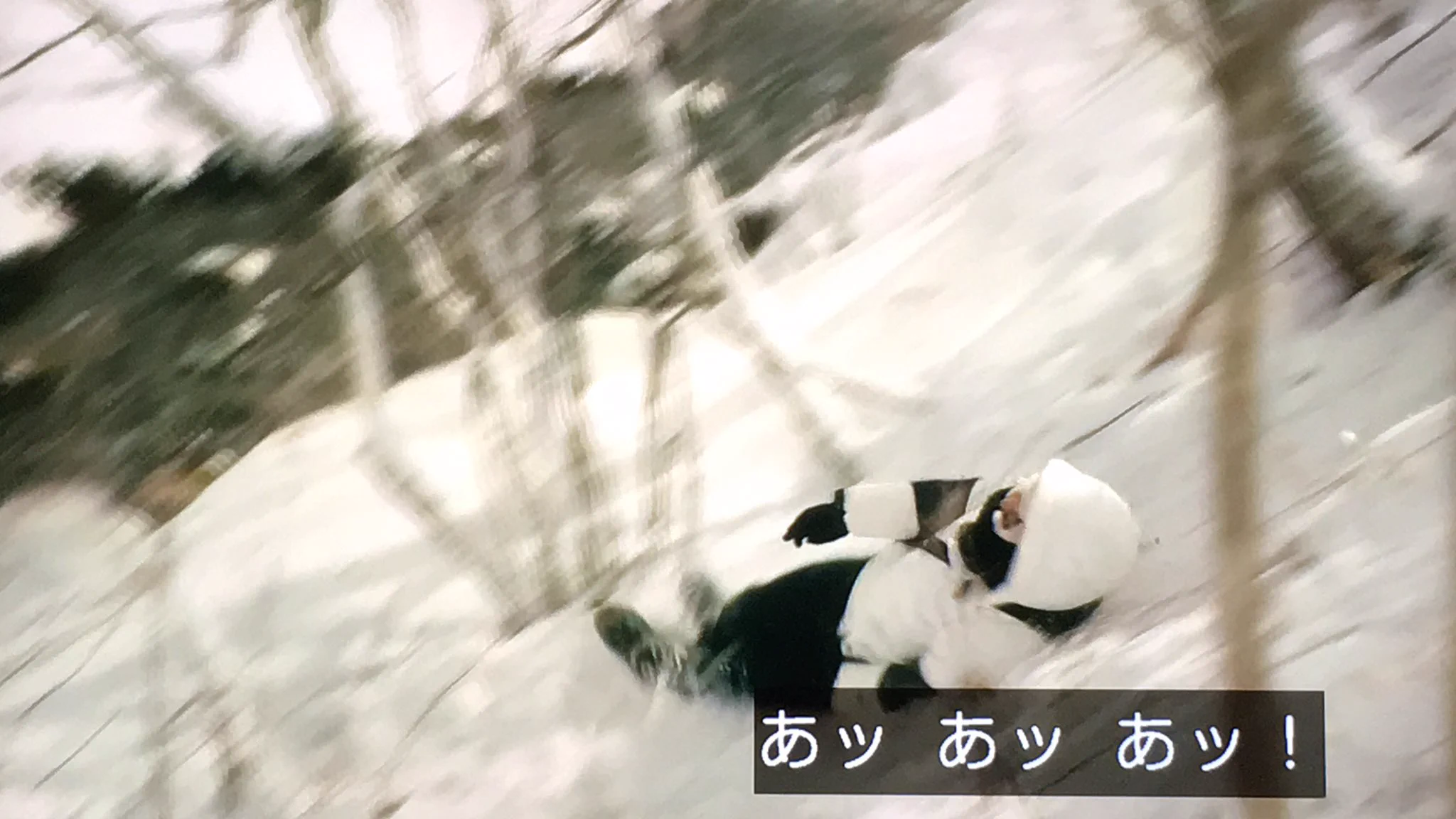 新しい沼にハマった時の反応がまさにコレｗ一気に転げ落ちるぜ！？ｗｗｗ