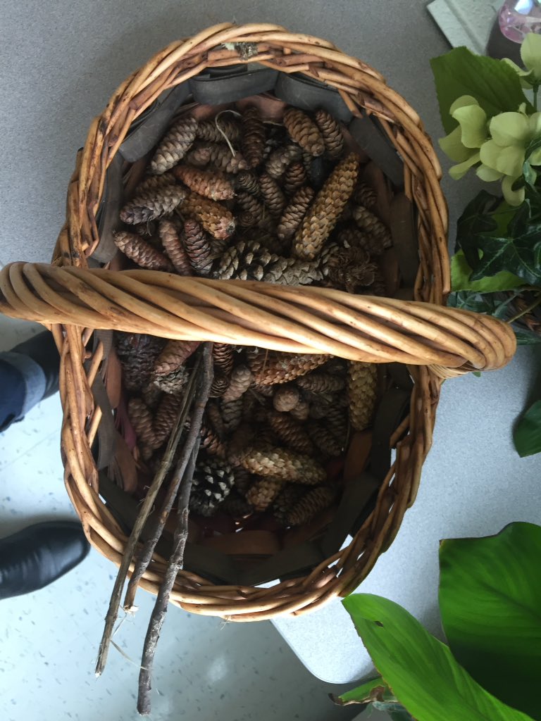 deannefong's tweet photo. Getting creative while collecting outdoor materials on our nature walk this morning! @stanleymillsps @PeelSchools https://t.co/KQvVilOnOC