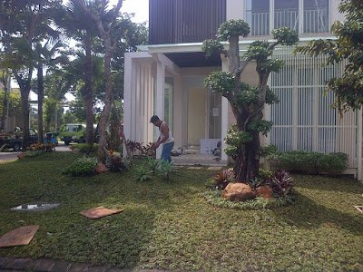 TarmudiRoy's tweet photo. Sahabat jika anda berminat ingin bikin taman hubungi WA.081316047952 pak Tarmidi https://t.co/KwnlWBTdgF