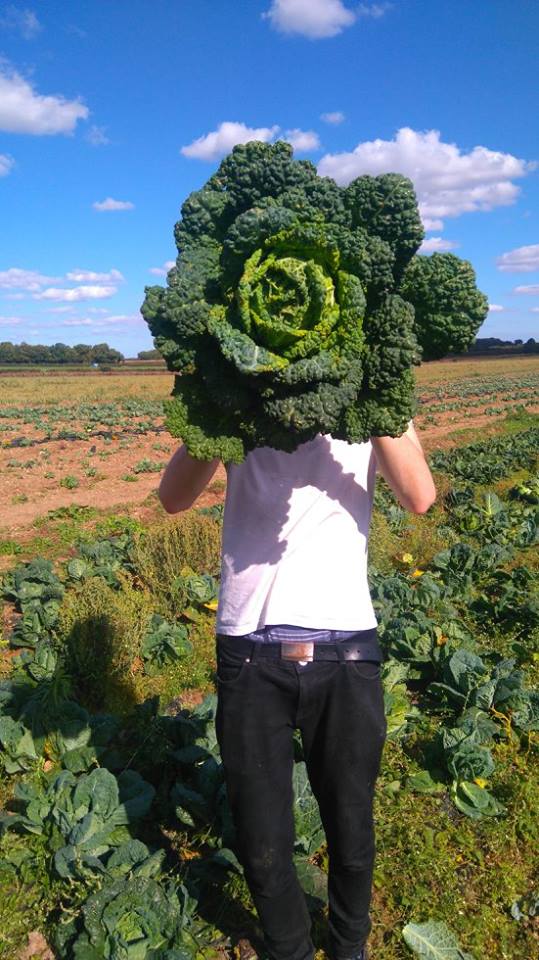 Our founder <a href="/TristramStuart/">Tristram Stuart</a> is looking for an awesome executive assistant! Could it be you? bit.ly/2lutfuj