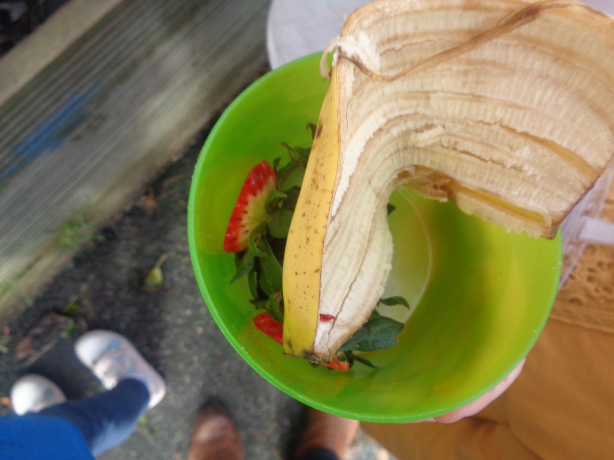 Giffnock Nursery on Twitter "The worms enjoyed the leftover pancake