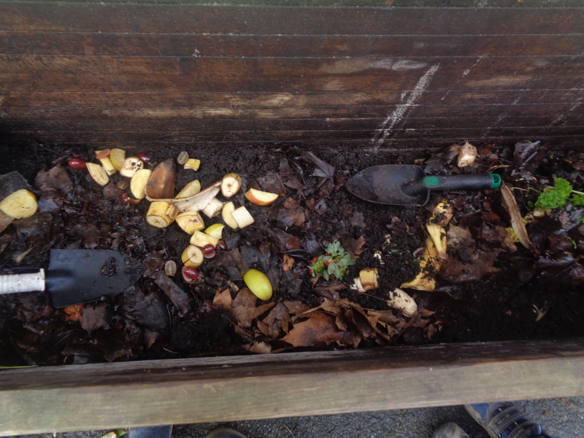 Giffnock Nursery on Twitter "The worms enjoyed the leftover pancake