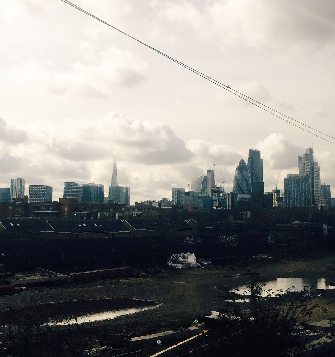 the wild berry cafe (thewildberry78) Twitter