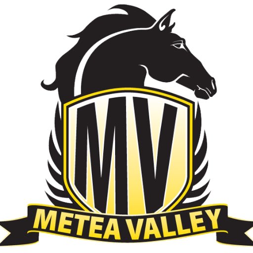 nnhsbbball's tweet photo. Game #27: Metea Valley @ Naperville North   Tonight at 7:00 PM    GAME HELD AT BATAVIA HS!! ITS THE REGIONAL SEMIFINALS!!!! https://t.co/9KytN5Zx3g