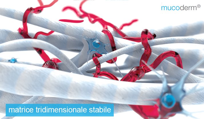 StraumannIT's tweet image. #mucoderm #maipiusenza l'alternativa all'innesto di tessuto molle autologo ow.ly/PN1H309ozQg