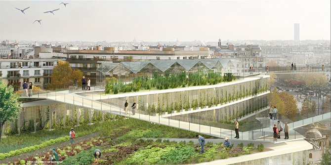 BNPPRE_FR's tweet photo. [#SIA2017] #Agriculture urbaine : une tendance en pleine croissance ou un simple effet de mode ? https://t.co/GdcGexpvVu https://t.co/AxTzJO3tE6