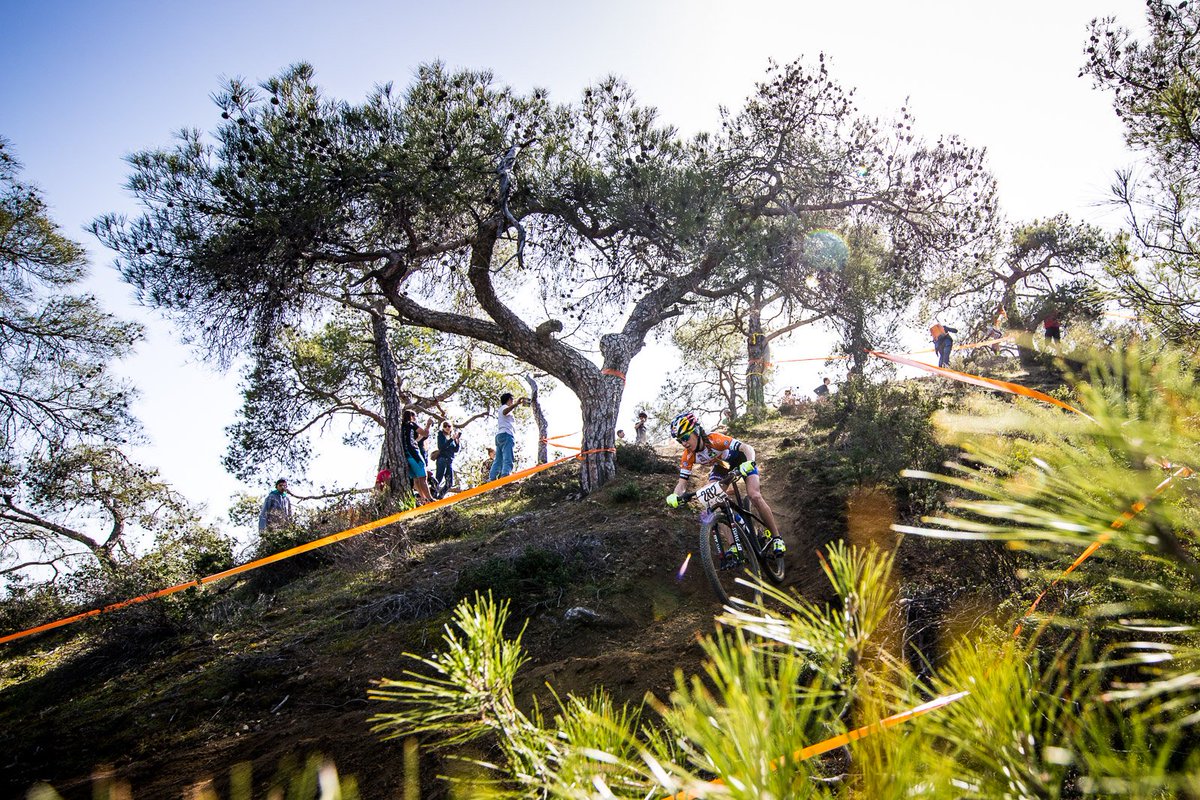 KMC Nukeproof MTB Racing Team tweet media