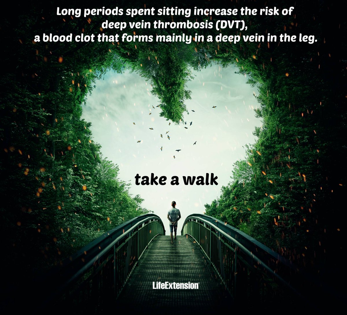 LifeExtension's tweet photo. Whether you are behind a desk, in a car, on a long flight, or on a couch... be sure to make time for a walk! #fitness #walk https://t.co/XsEV9X4sko