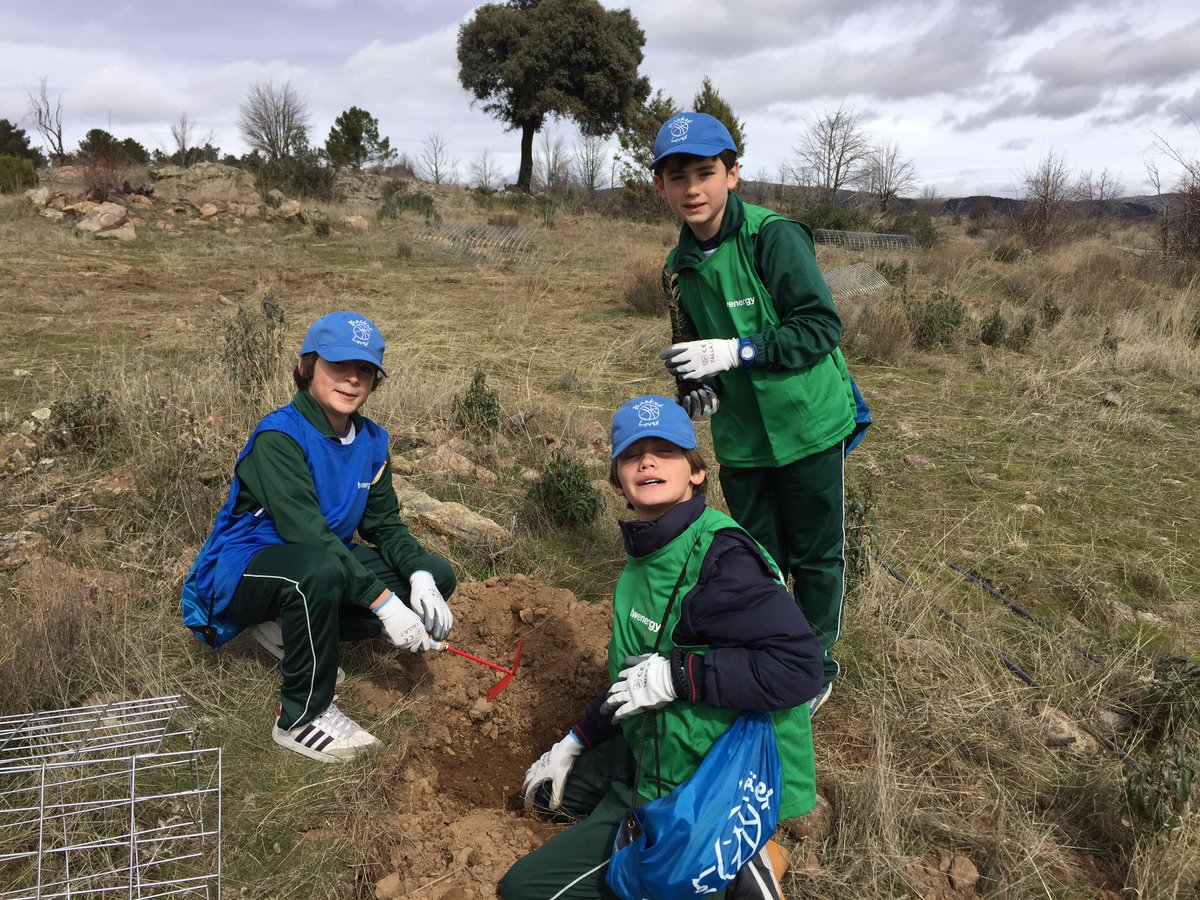 DudiaArchitects's tweet photo. La educación ambiental para los niños es esencial! #BosqueTwenergy  🌲👌🌎 Hacia un futuro sostenible desde un presente responsable ✅ https://t.co/jBE9tfcdvQ