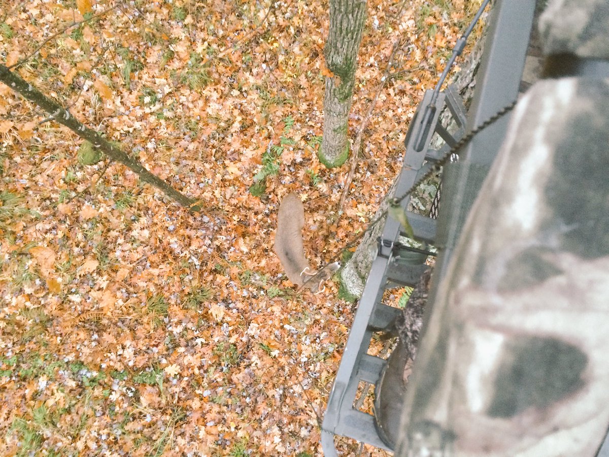 Gotta love close encounters during rut with future hit listers.