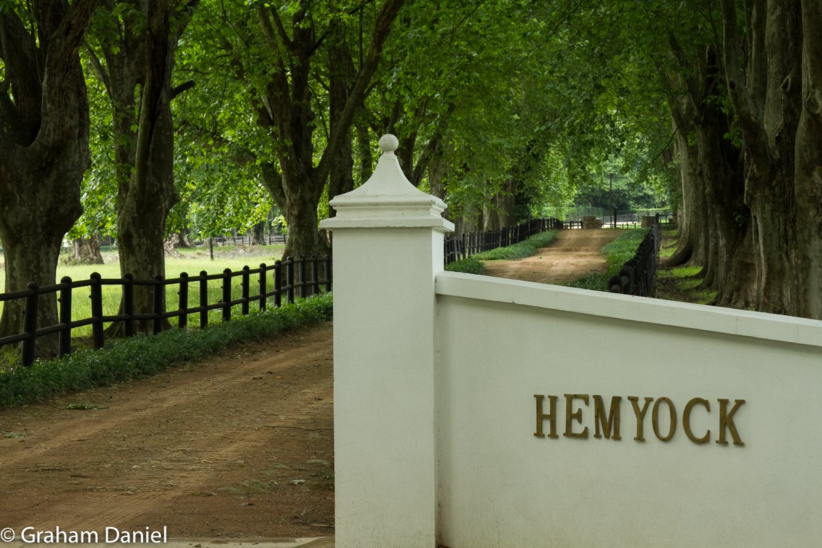 369Communications tweet media