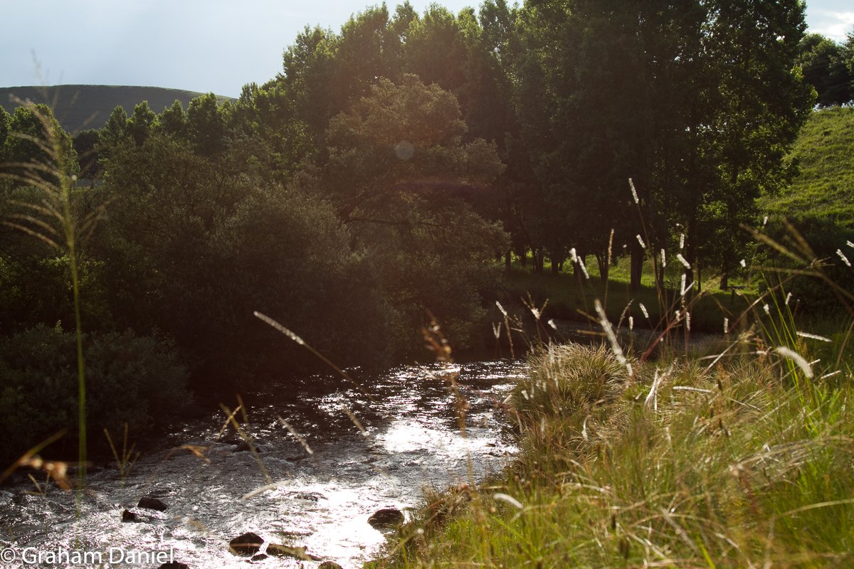 369Communications tweet media