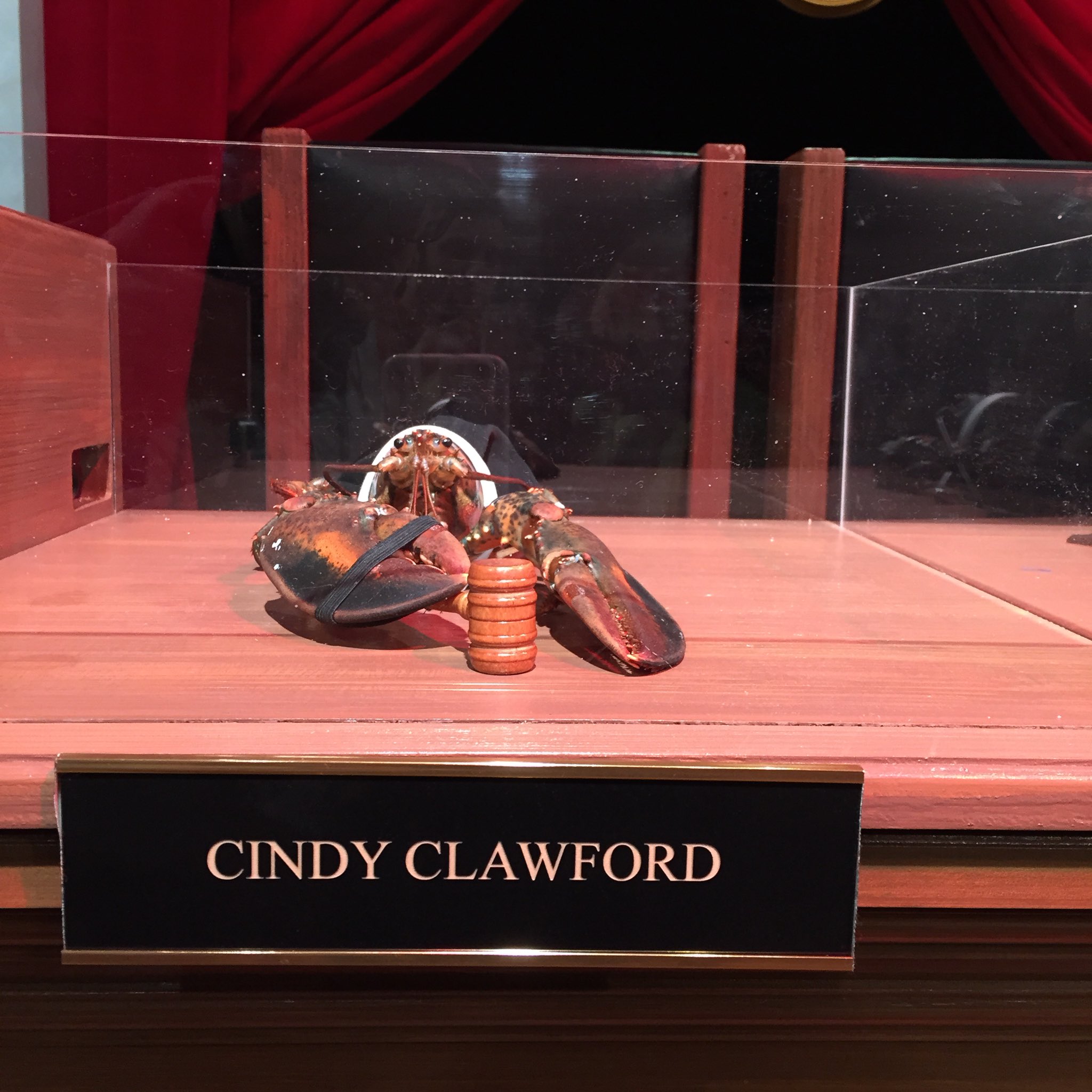 Last Week Tonight Cindy Clawford Clawandorder T Co Dmaxs9lvsj Twitter Last Week Tonight Cindy Clawford Clawandorder T Co Dmaxs9lvsj Twitter