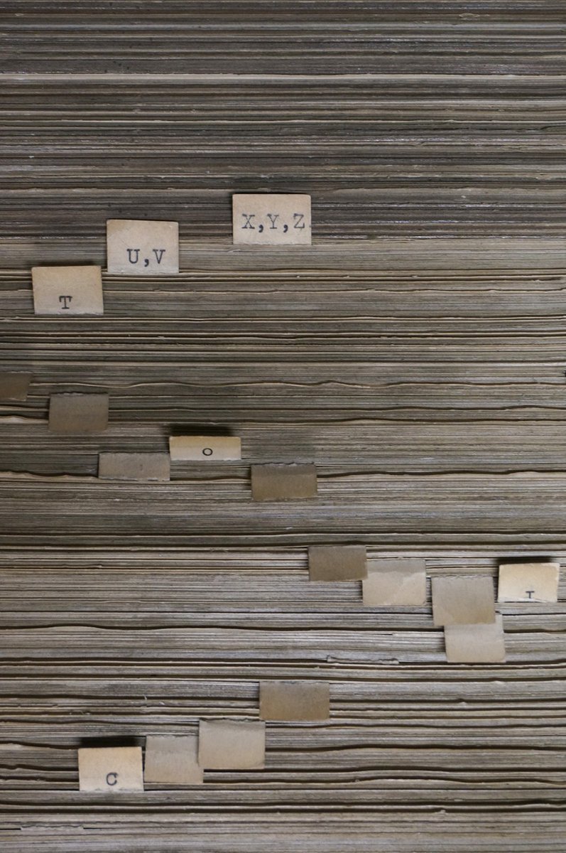 Our Favourite Places tweet media