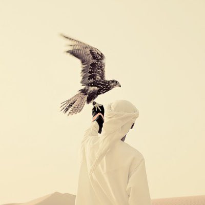 KK_Dubai's tweet photo. #NewProfilePic https://t.co/UvPOoMG0Vs