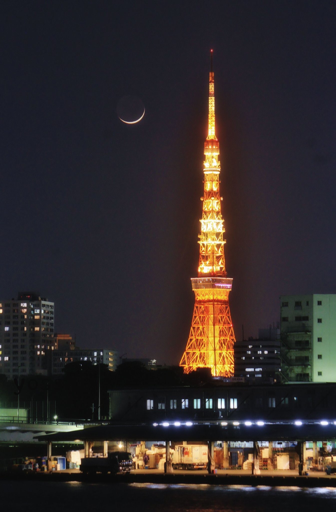 雅 勝鬨橋から見てきた東京タワー 築地市場と今夜の細い月 スカイツリー と三日月の風景は何度か見てきたけど東京タワーと月は初めてだったので撮れてよかったし築地市場の夜景も記録できてよかった T Co Zaplosn6fv Twitter