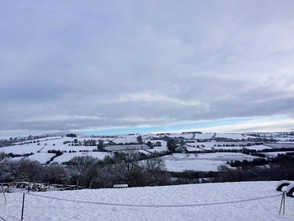morphut's tweet image. Our 3 #MorphPOD s loving their #Whitestuff coats @Brandyhouse .Bring your sledge &amp;amp; book a stay @WhiteStuffUK @glyndwrsway @WalesInStyle